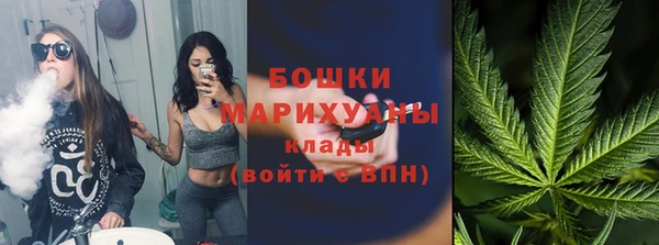 твердый Заводоуковск
