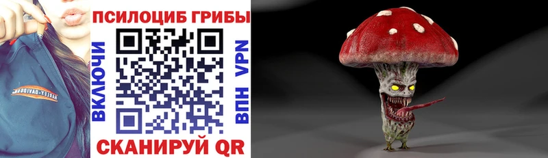 Купить закладки  Сосновка  Псилоцибиновые грибы ЛСД 